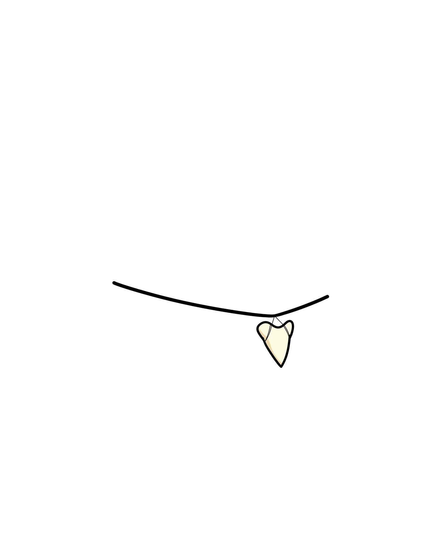 Shark Tooth